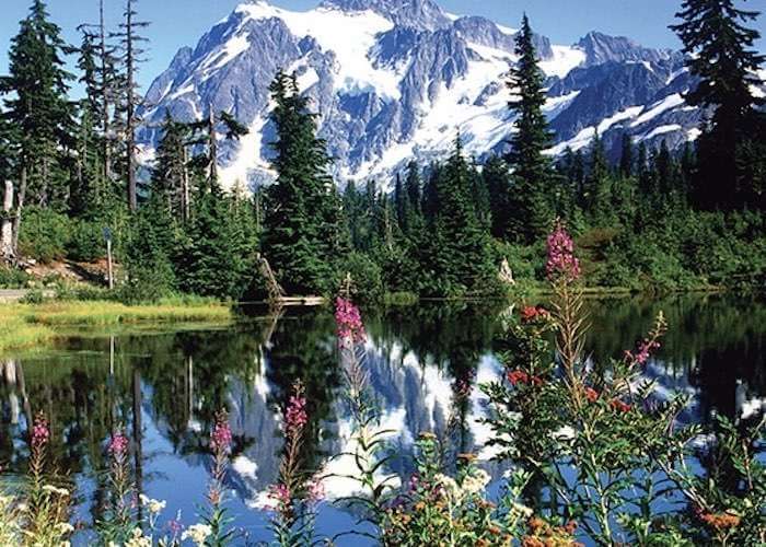 Mount Baker