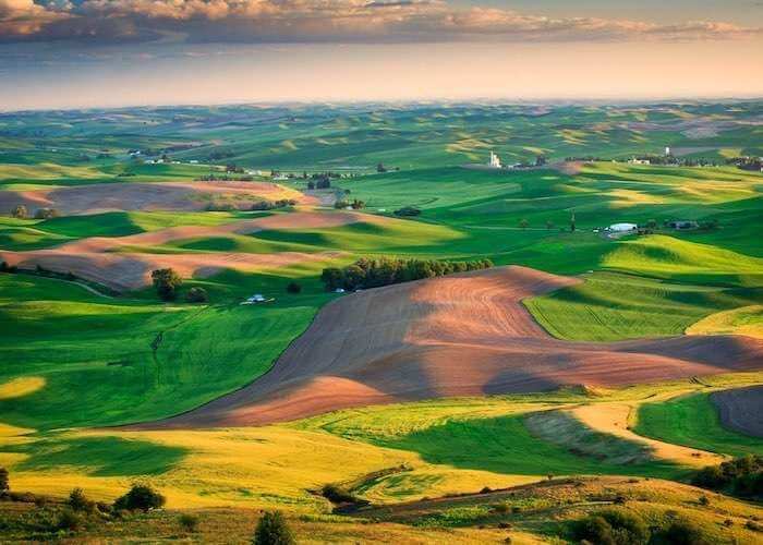 Palouse